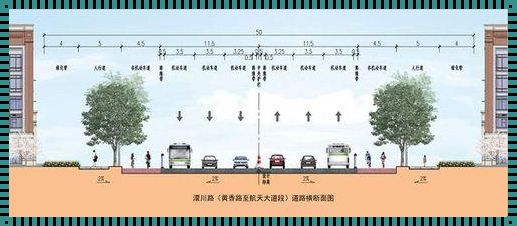 双车道宽度之问——探寻道路设计的最小安全标准