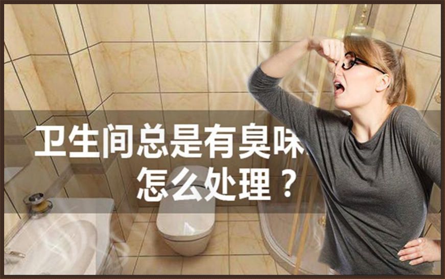 洗手间反臭味怎么处理？