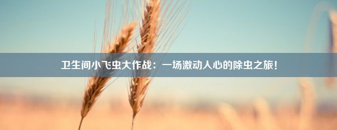 卫生间小飞虫大作战：一场激动人心的除虫之旅！