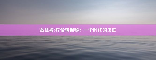 蚕丝被6斤价格揭秘：一个时代的见证