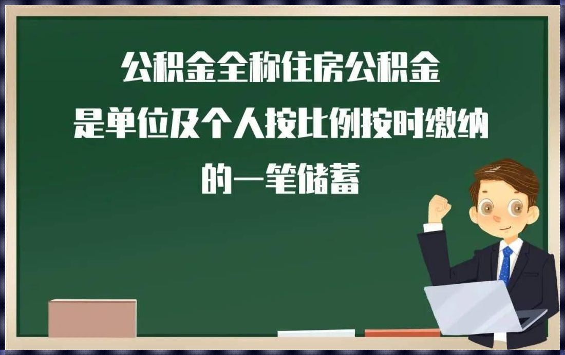 个人交公积金的利弊：一场意外的财富之旅