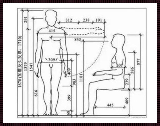 成人桌椅高度最佳比例的探索与思考