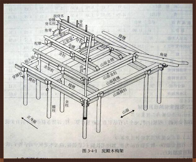 建筑结构：人类智慧的结晶