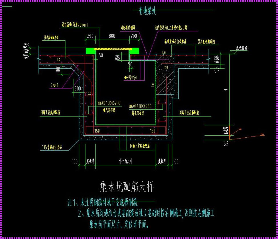 “静水之智”：揭秘集水坑的深层魅力