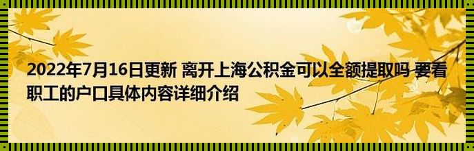 上海公积金封顶2023：构筑劳动者权益的新篇章