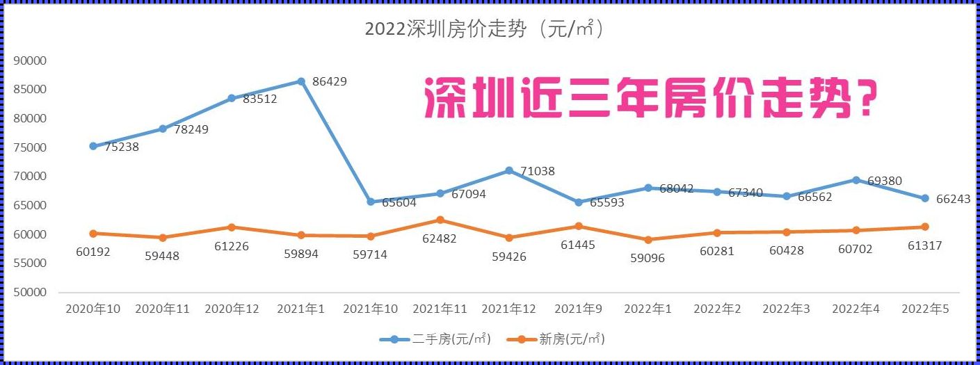 《深圳房价之谜：妇产科医生的购房经历》