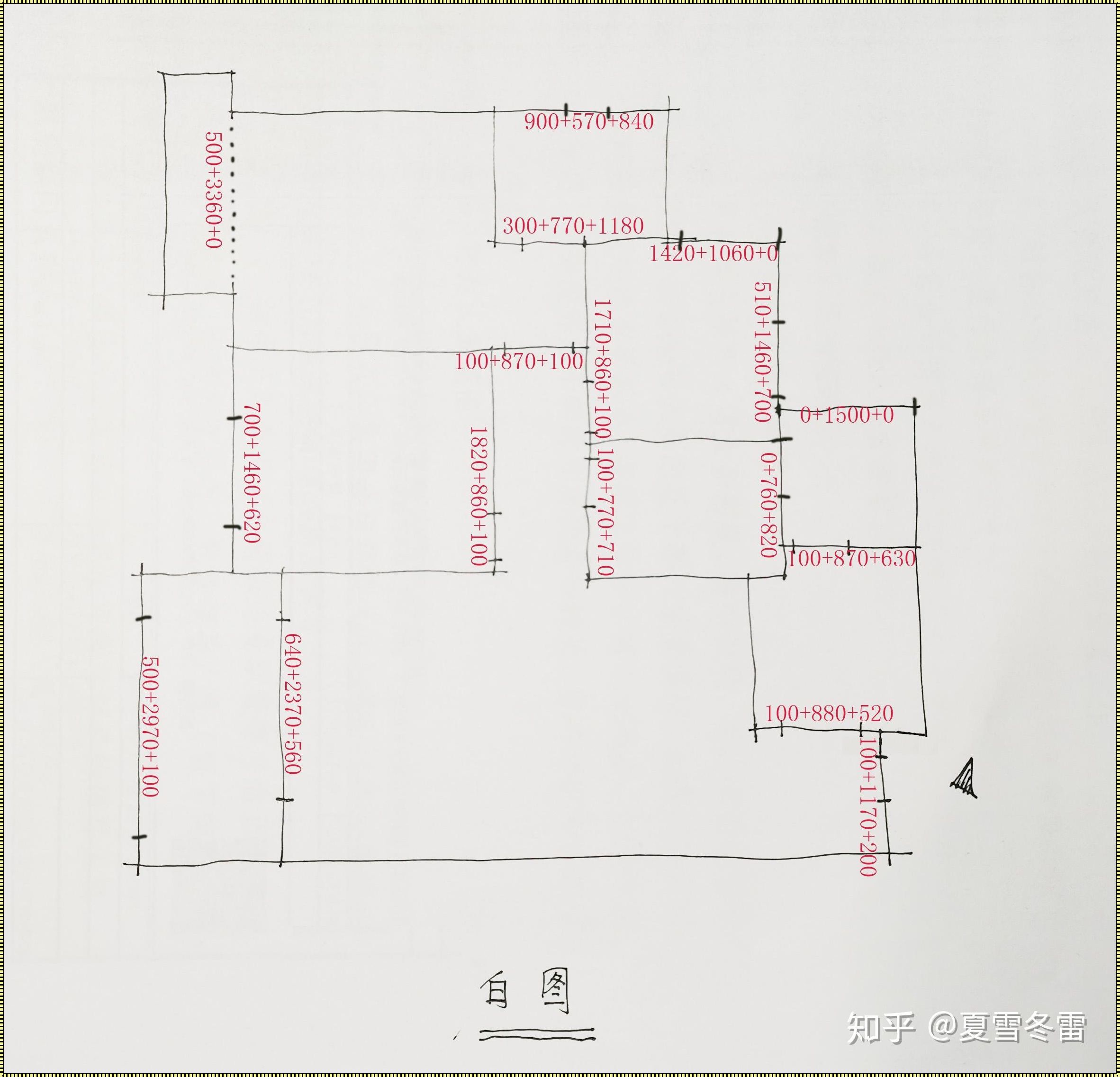 量房怎么量：专业兽医带你深入解析