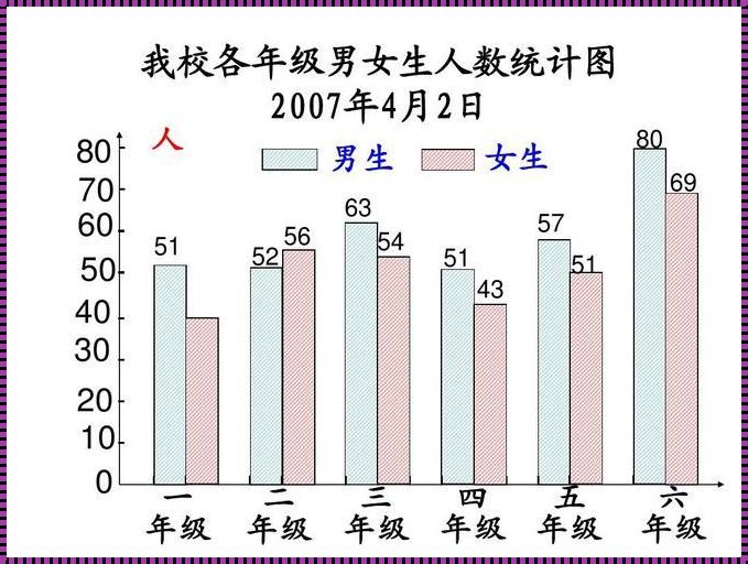 《复式条形统计图的特点与应用：揭示数据背后的真实故事》