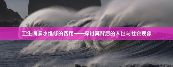 卫生间漏水维修的费用——探讨其背后的人性与社会现象