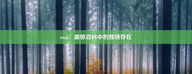 roca：震惊百科中的独特存在