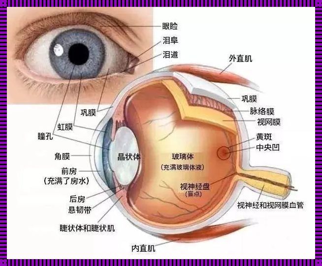 着什么结构：深入探索生活中的快讯与真相