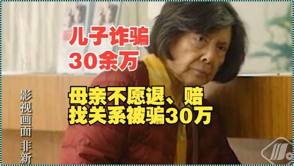 儿子诈骗获刑，母亲找关系被骗30万