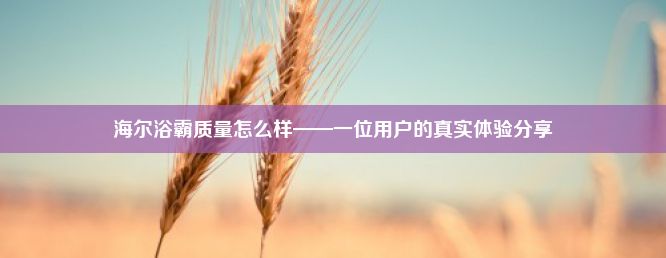 海尔浴霸质量怎么样——一位用户的真实体验分享