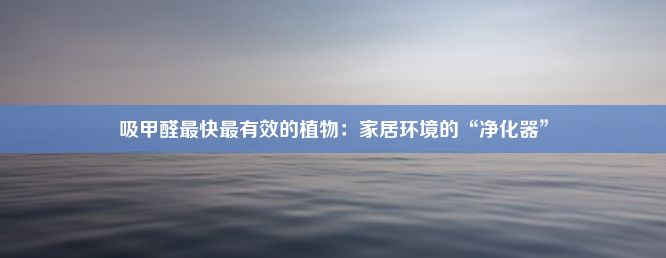 吸甲醛最快最有效的植物：家居环境的“净化器”