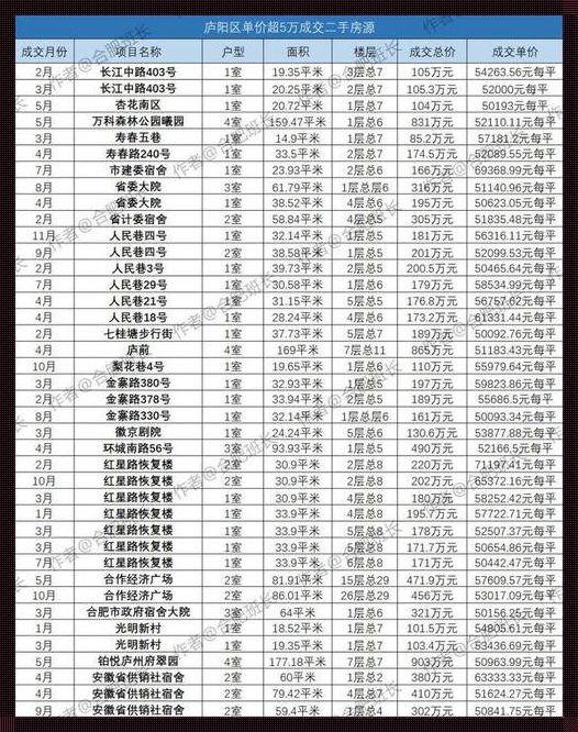 合肥二手房价2023年最新房价：穿越市场迷雾，洞察投资先机