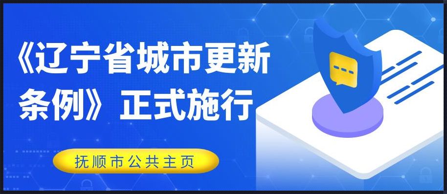 辽宁省城市供热管理条例2023：温暖冬季的法制保障