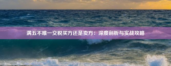 满五不唯一交税买方还是卖方：深度剖析与实战攻略