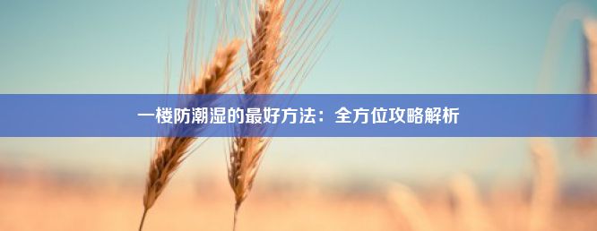 一楼防潮湿的最好方法：全方位攻略解析