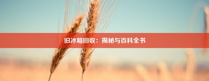 旧冰箱回收：揭秘与百科全书