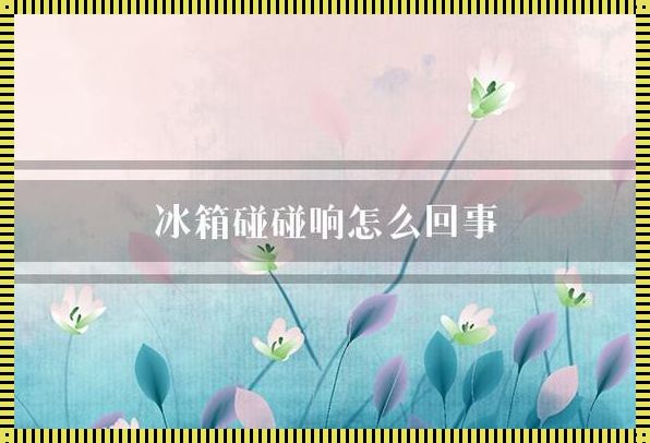 冰箱制冷但一直响怎么回事：揭秘冰箱噪音之谜