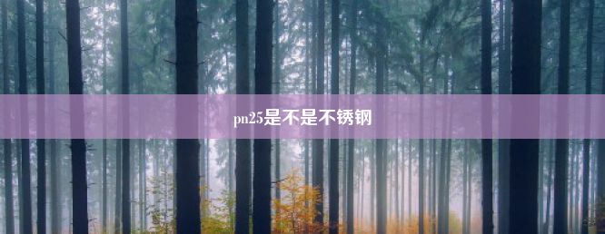 pn25是不是不锈钢