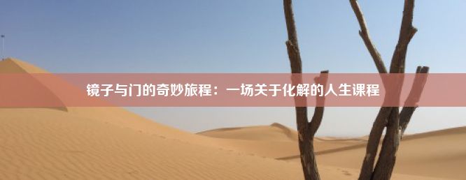 镜子与门的奇妙旅程：一场关于化解的人生课程