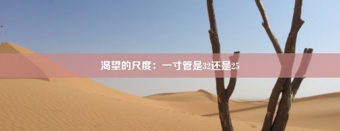 渴望的尺度：一寸管是32还是25