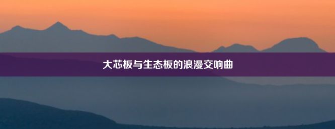 大芯板与生态板的浪漫交响曲