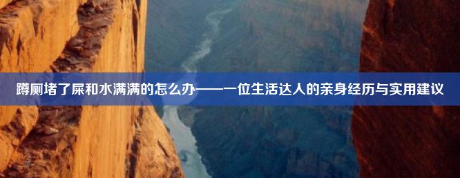 蹲厕堵了屎和水满满的怎么办——一位生活达人的亲身经历与实用建议