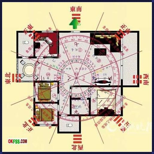 重庆房子真的不讲朝向吗？——一座城市的空间布局之谜