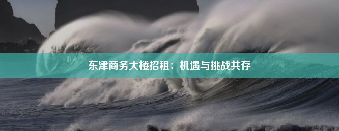 东津商务大楼招租：机遇与挑战共存