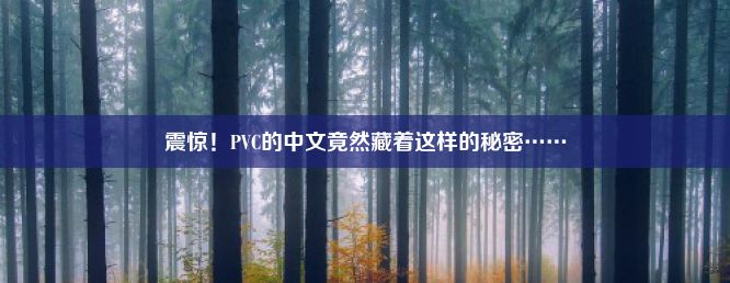 震惊！PVC的中文竟然藏着这样的秘密……