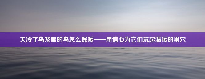 天冷了鸟笼里的鸟怎么保暖——用信心为它们筑起温暖的巢穴