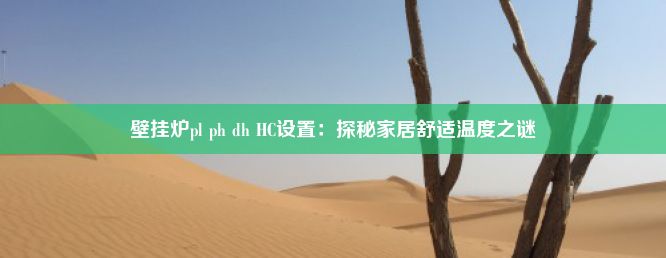 壁挂炉pl ph dh HC设置：探秘家居舒适温度之谜