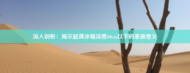 深入剖析：海尔超薄冰箱深度60cm以下的革新意义