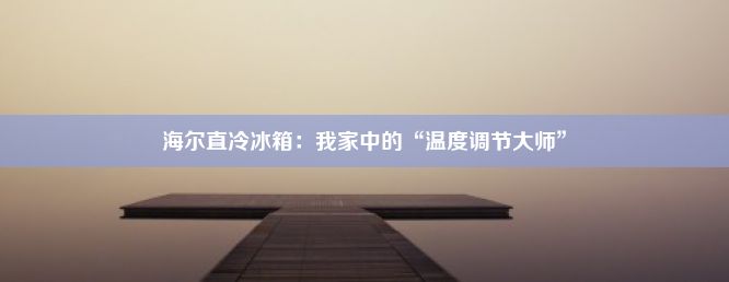 海尔直冷冰箱：我家中的“温度调节大师”