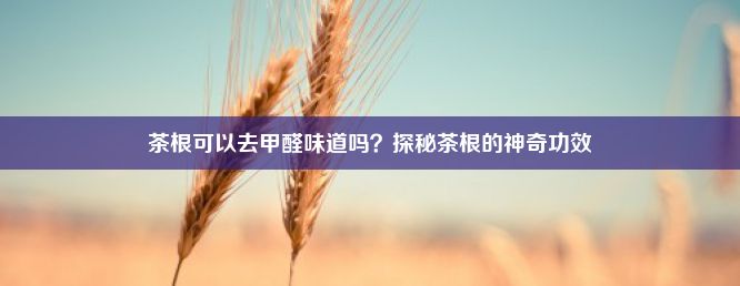 茶根可以去甲醛味道吗？探秘茶根的神奇功效