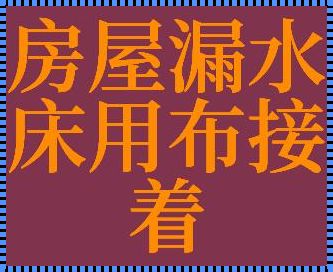 女人梦见别人屋里漏水啥预兆：泄漏的忧虑与预兆的象征