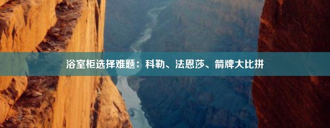 浴室柜选择难题：科勒、法恩莎、箭牌大比拼