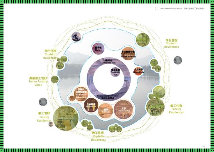 大学生未来的设计规划：展望与实施