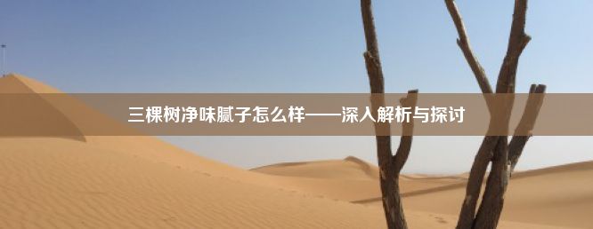 三棵树净味腻子怎么样——深入解析与探讨