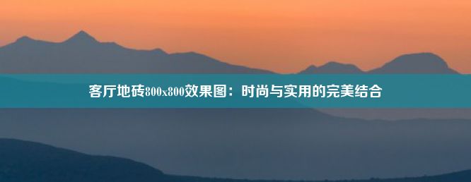 客厅地砖800x800效果图：时尚与实用的完美结合