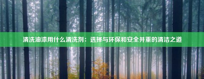 清洗油漆用什么清洗剂：选择与环保和安全并重的清洁之道