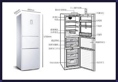 冰柜尺寸图片大全：揭秘理想储藏空间