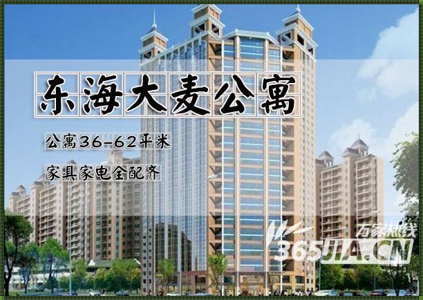 合肥公寓价格一套多少钱：揭秘都市中的价格迷雾