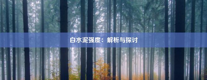 白水泥强度：解析与探讨