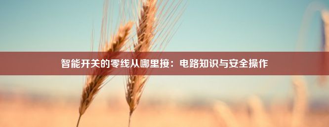 智能开关的零线从哪里接：电路知识与安全操作