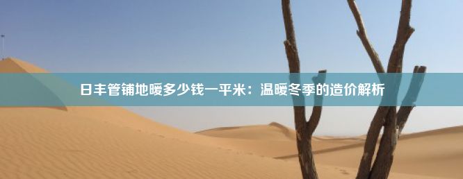 日丰管铺地暖多少钱一平米：温暖冬季的造价解析