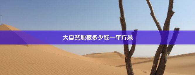 大自然地板多少钱一平方米