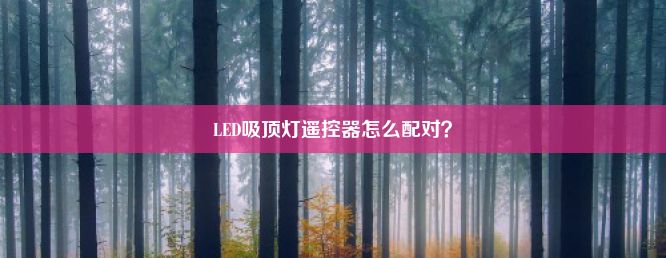 LED吸顶灯遥控器怎么配对？